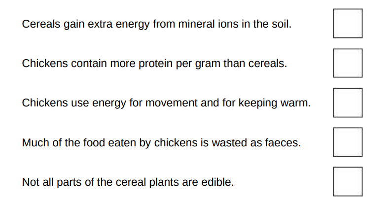 <p>In Figure 1, 1 hectare of cereal crop would provide enough energy for 8 people for a year. </p><p>In Figure 2, 10 hectares of cereal crop would be needed to provide enough energy for only 1 person for a year.</p><p>Why is it more efficient for humans to get energy by eating cereals than by eating chickens?(2)</p>