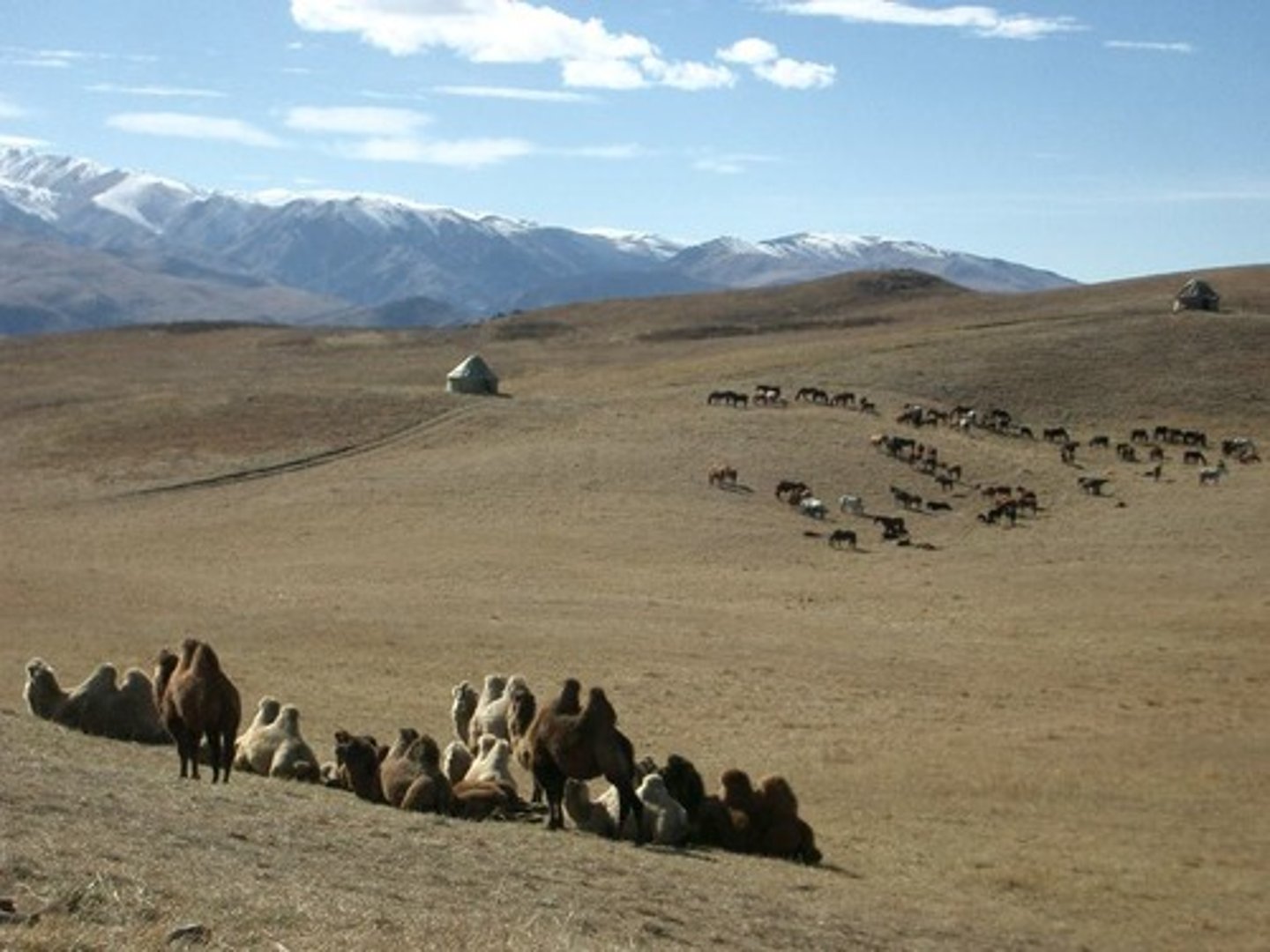 <p>The feeding of herds of animals by moving them to seasonally productive feeding grounds, often over long distances.</p>