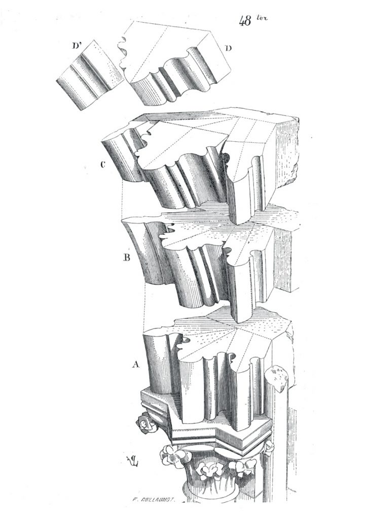 <p><span>The portion of a group of vault ribs that occurs just above the spring where the ribs are still joined together</span></p>