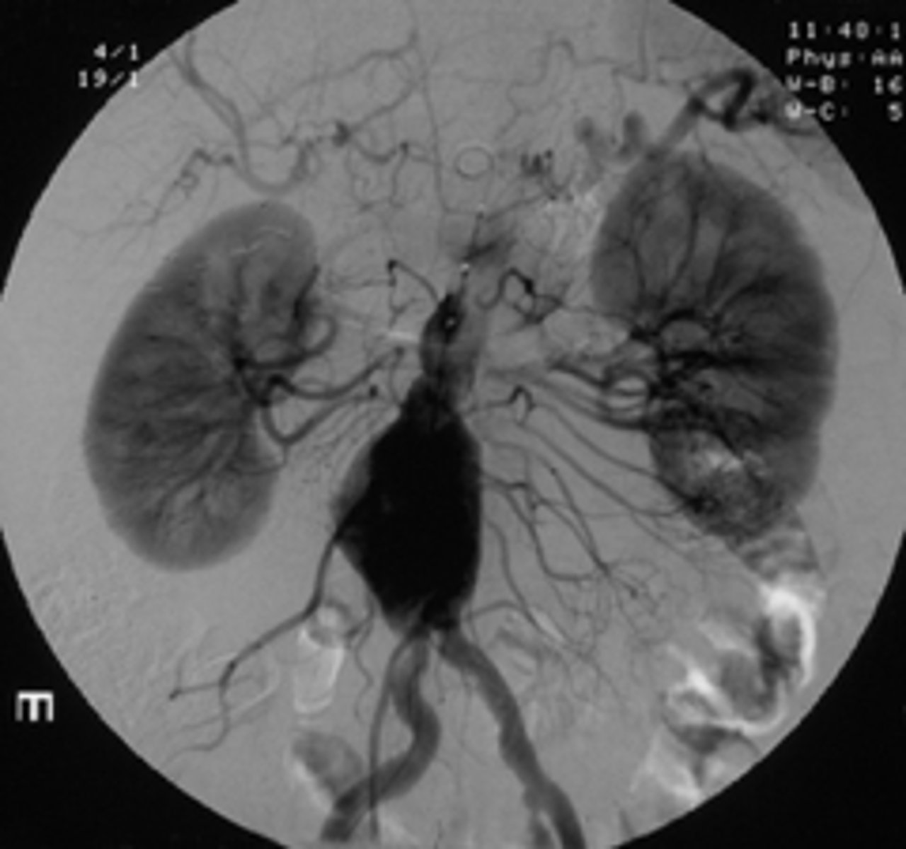 <p><em>identify the pathology</em> </p>