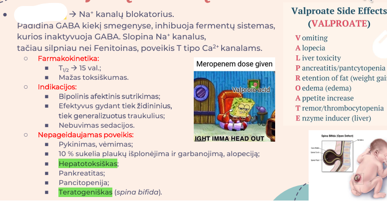 <p>Na+ kanalų blokatorius. Padidina GABA kiekį smegenyse, inhibuoja fermentų sistemas, kurios inaktyvuoja GABA. Slopina Na+ kanalus, tačiau silpniau nei Fenitoinas, poveikis T tipo Ca2+ kanalams</p>