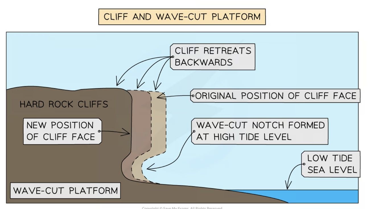 <p></p><ul><li><p>piece of land sloping down to the sea - processes of weathering <span style="font-family: __bwModellica_c589ae, __bwModellica_Fallback_c589ae">→ </span>weaken the rock</p></li><li><p>section of the cliff base between the high and low watermark <span style="font-family: __bwModellica_c589ae, __bwModellica_Fallback_c589ae">→ </span>hydraulic action and abrasion <span style="font-family: __bwModellica_c589ae, __bwModellica_Fallback_c589ae">→ </span>continues and over time rock will break away from the cliff base and collect on the beach <span style="font-family: __bwModellica_c589ae, __bwModellica_Fallback_c589ae">→ </span>material removed by destructive waves <span style="font-family: __bwModellica_c589ae, __bwModellica_Fallback_c589ae">→</span> leaving wave-cut notch</p></li><li><p>wave-cut notch will become larger <span style="font-family: __bwModellica_c589ae, __bwModellica_Fallback_c589ae">→</span> leaving cliff above unsupported</p></li><li><p>wave-cut notch becomes so large <span style="font-family: __bwModellica_c589ae, __bwModellica_Fallback_c589ae">→ </span>overhanging cliff collapses due to gravity</p></li><li><p>Hydraulic action, abrasion and weathering will repeat wave-cut notch formation and cliff collapse, causing the cliff to retreat</p></li></ul><p></p>