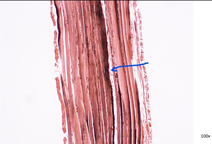 <p>What is this?</p>