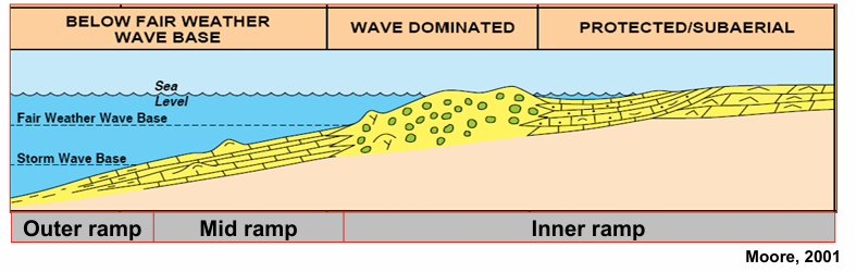 <p><span>Shallow dipping often &lt;1 degree</span></p><p><span>Subdivided based on the influence of waves/storms on sedimentation (</span>Sedimentation in the mid ramp is frequently storm influenced<span>)</span></p><p><span>Sand shoals sometimes form protection from wave/storm energy</span></p><p><span>Low energy basin with negligible storm influence</span></p><p><span>e.g Arabian-Persian Gulf</span></p>