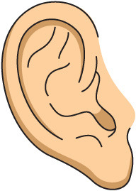 ear