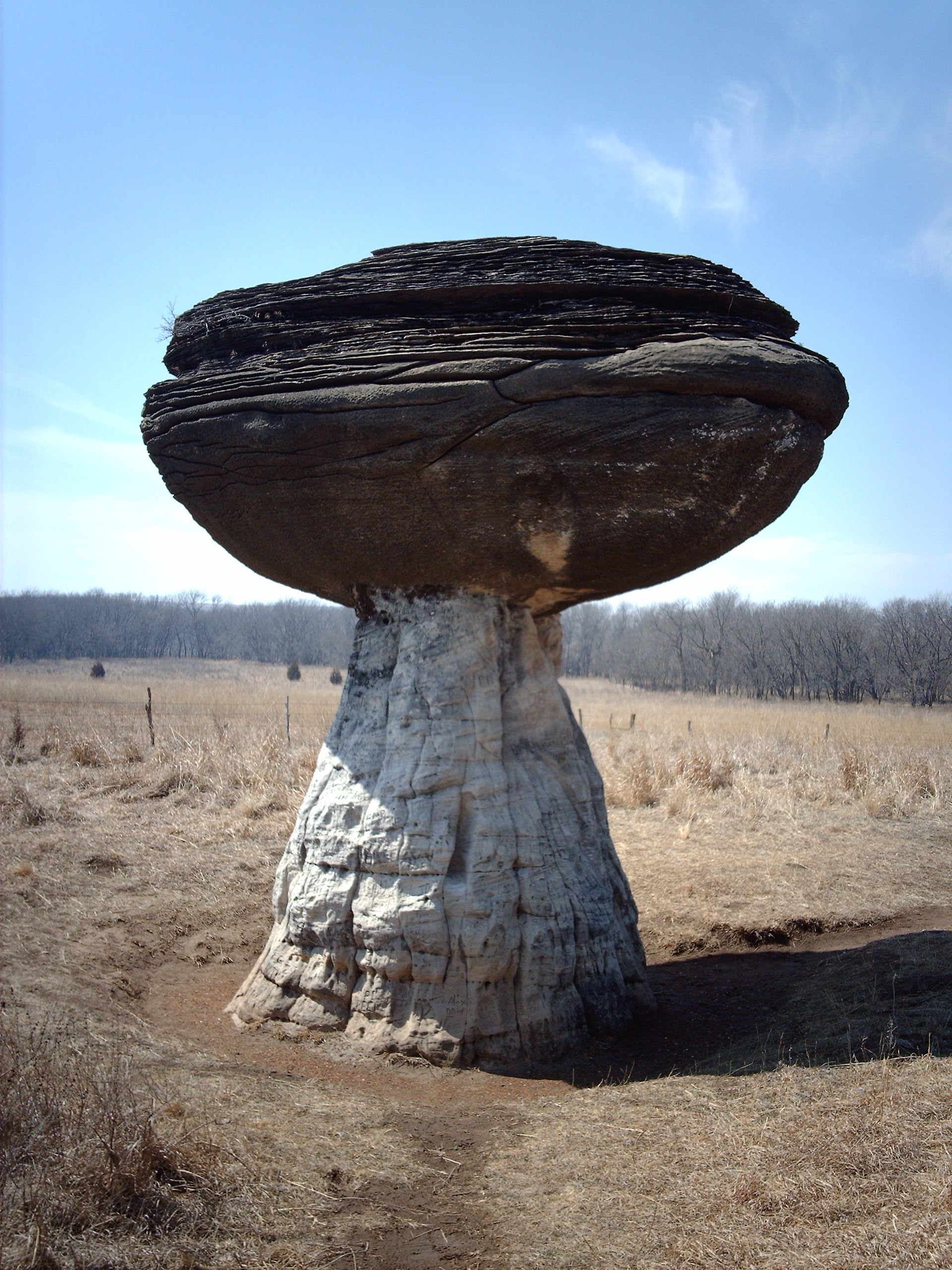 <p>Sedimentary rock → more and less resistant</p><p>Wind can only lift sand 1.5m off the ground → mushroom blocks</p>