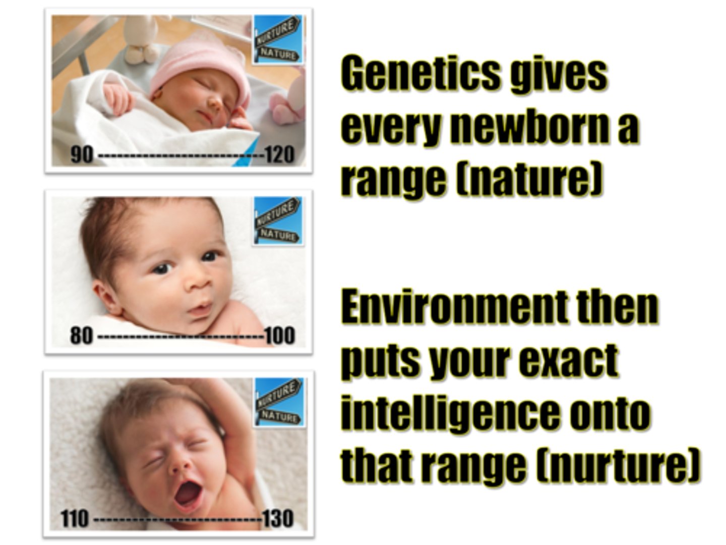 <p>Genes set the boundaries within which we can</p><p>operate, and our environment interacts with the genes to determine where in that</p><p>range we will fall.</p>