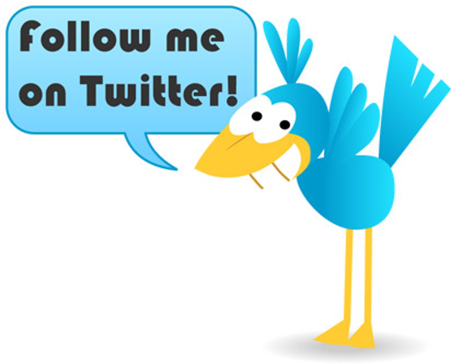 <p>Followers</p>