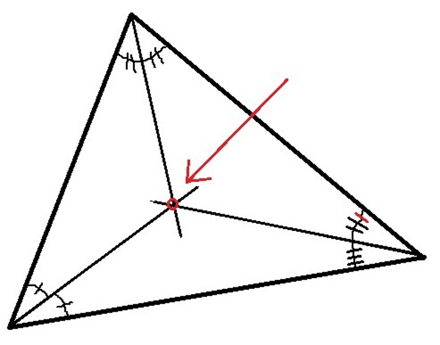 <p>In a triangle, the point of concurrency of the angle bisectors is called the</p>