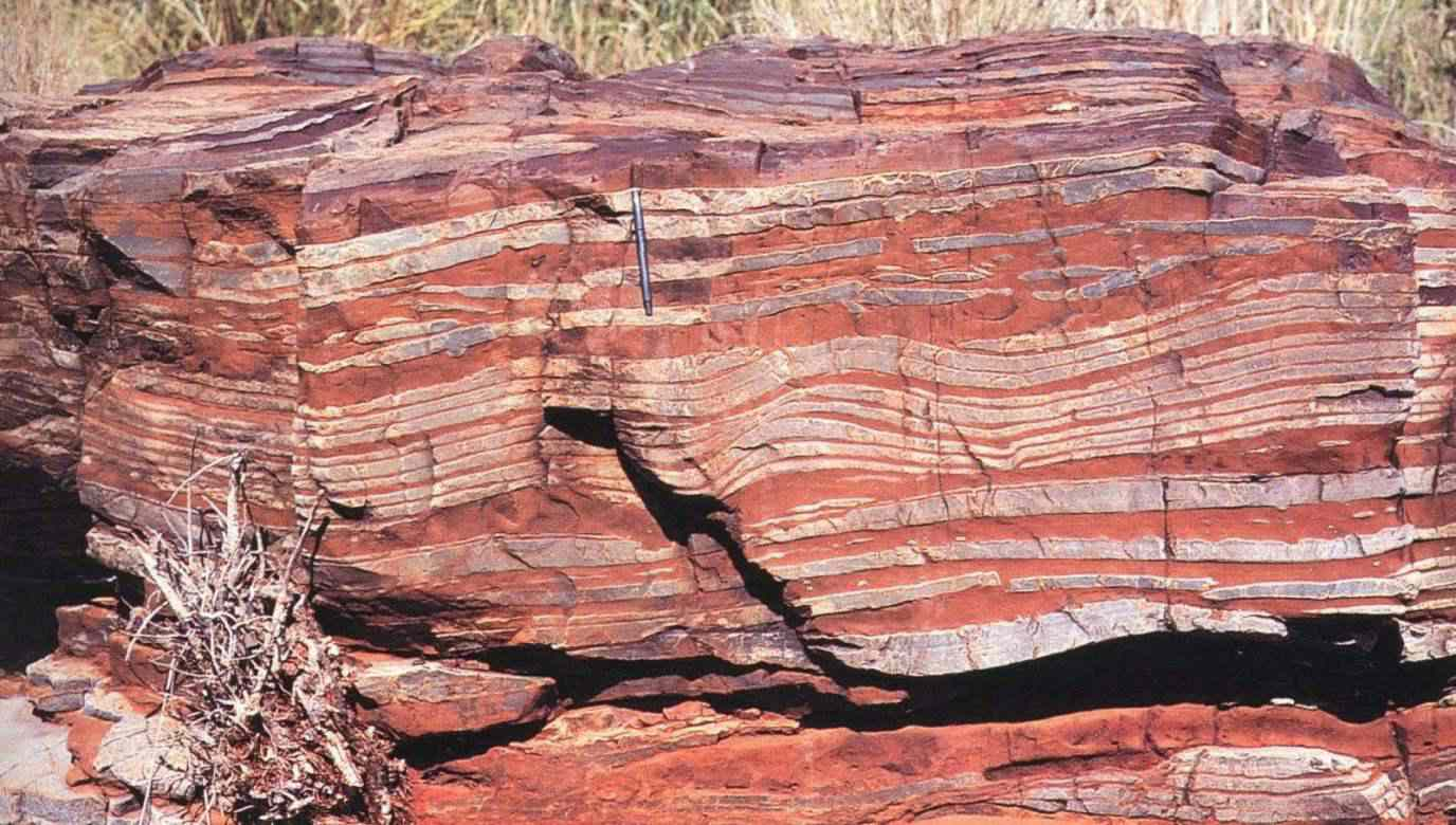 <p>All banded iron formations are Precambrian in age. Thought to have originated in shallow or marginal marine environments, probably on continental shelves or shallow basins. Early microbes could have oxygenated waters, releasing Fe2<sup>+ </sup>ions that oxidized on the seafloor while chert layered on top in alternating bands</p>