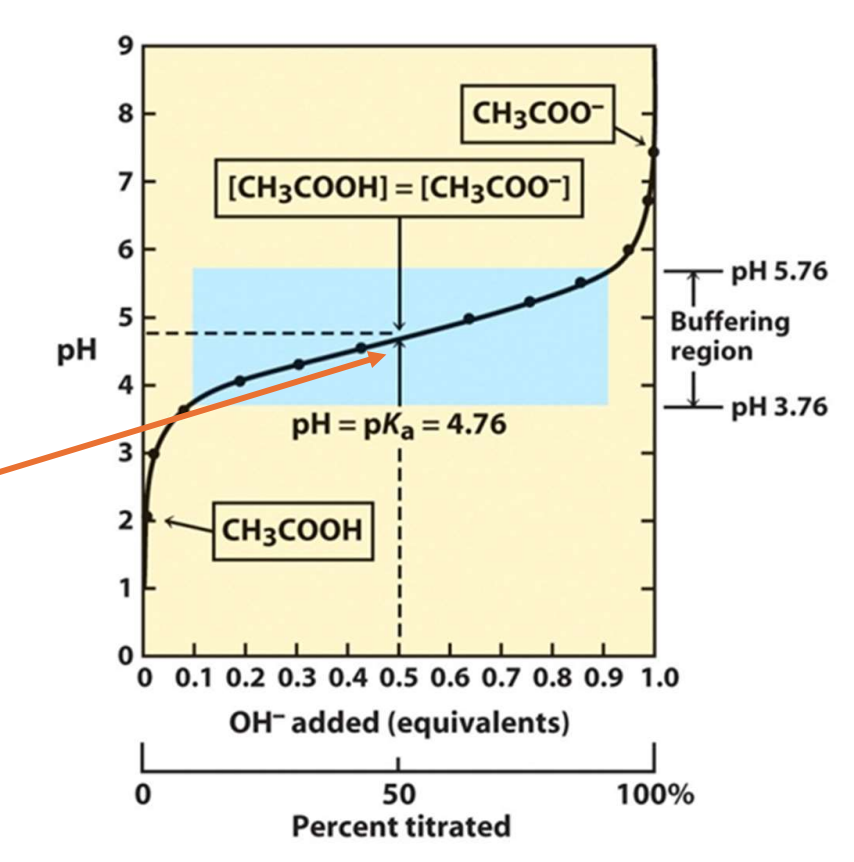 <p>In the middle of the buffer region (Also known as equilibrium point)</p>