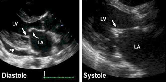 <p>what is this?</p>