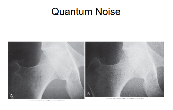 <p>What does this image show</p>