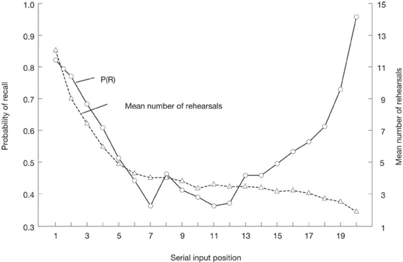 <p>Stages in episodic memory (getting info into the memory system) → principles of storage in episodic memory</p><p>_________________ -<strong> </strong><span><strong>A deliberate recycling of STM’s contents— A deliberate recycling or practicing of information in the short-term store.</strong></span></p><p><span>Rundus (1971)</span></p><ul><li><p><span>Participants learned 20-item lists of words</span></p><ul><li><p><span>5 Seconds/word</span></p></li></ul></li><li><p><span>People were told to rehearse words aloud, but could rehearse <em>any </em>word that they wanted</span></p></li></ul><p></p>