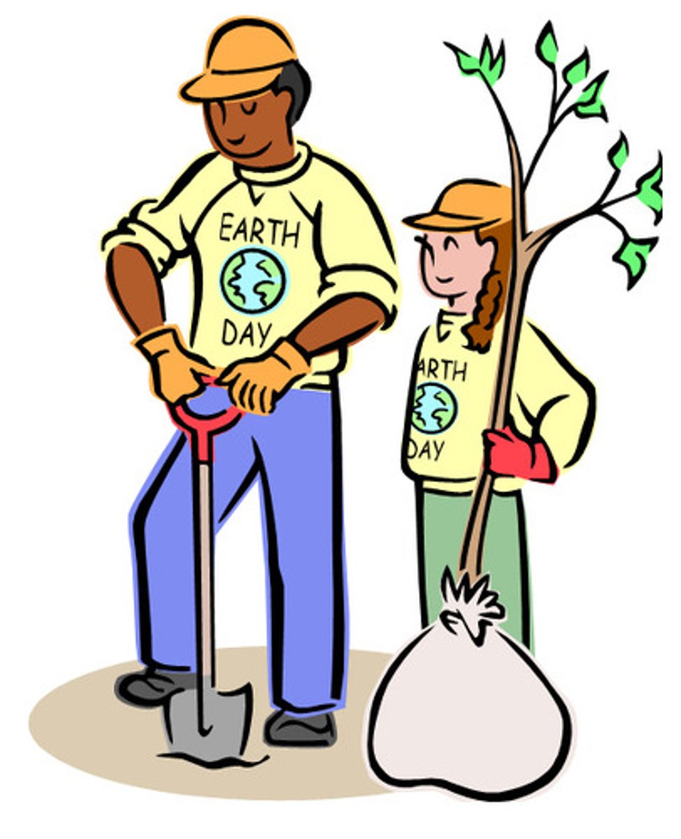 <p>Replant the tree</p>