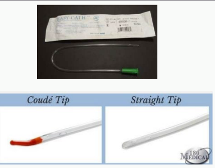 <p><strong>Intermittent Catheter</strong></p><p>-Goes in through the _______ and ______ the bladder. Requires patient education, how toput it in and take it out </p><p>-Insert _______ times a day, either at scheduled times or whenever the bladder feels ____. The tip is either ________ or coude </p>