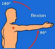 <p>L’antépulsion, flexion ou antéversion de la scapulo-humérale</p>