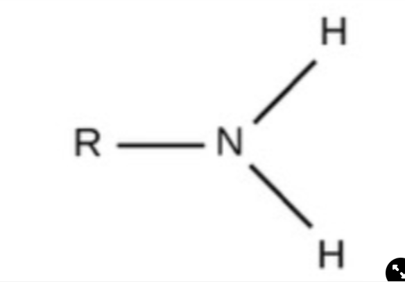 charged, accepts H+ to form NH3+, basic
