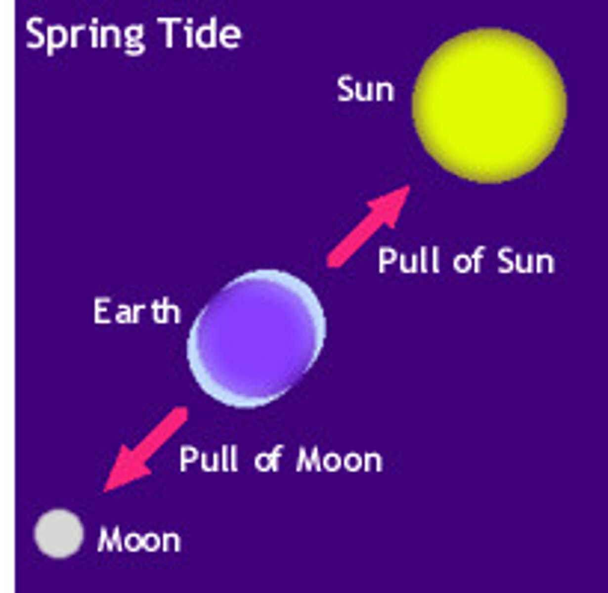 <p>A tide occurring when the sun and moon are in alignment, combining their gravitational forces to create the largest possible tidal range.</p>