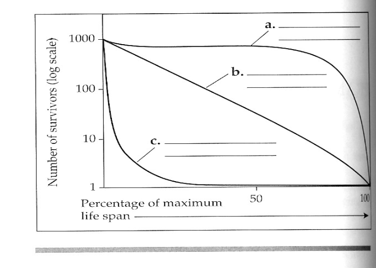 <p>Which curve would represent <strong>r-selected species</strong>?<strong> K-selected species</strong>?</p>