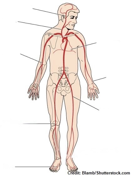 <p>What is Number 1?</p>