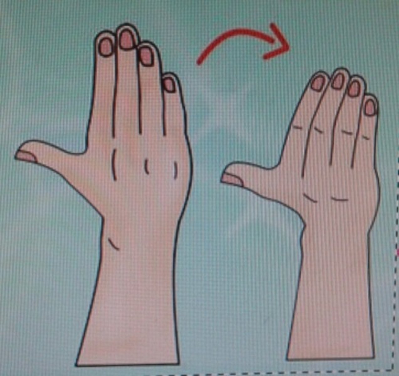 knowt flashcard image