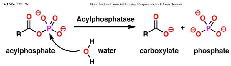 <p>What is the substrate in this chemical reaction?</p>