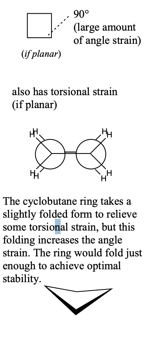 <ul><li><p>90° bond angles</p></li><li><p>large amount angle strain</p></li><li><p>torsional strain if planar</p></li><li><p>The cyclobutane ring takes a slightly folded form to relieve some torsional strain, but this folding increases the angle strain. The ring would fold just enough to achieve optimal stability</p></li></ul><p></p>
