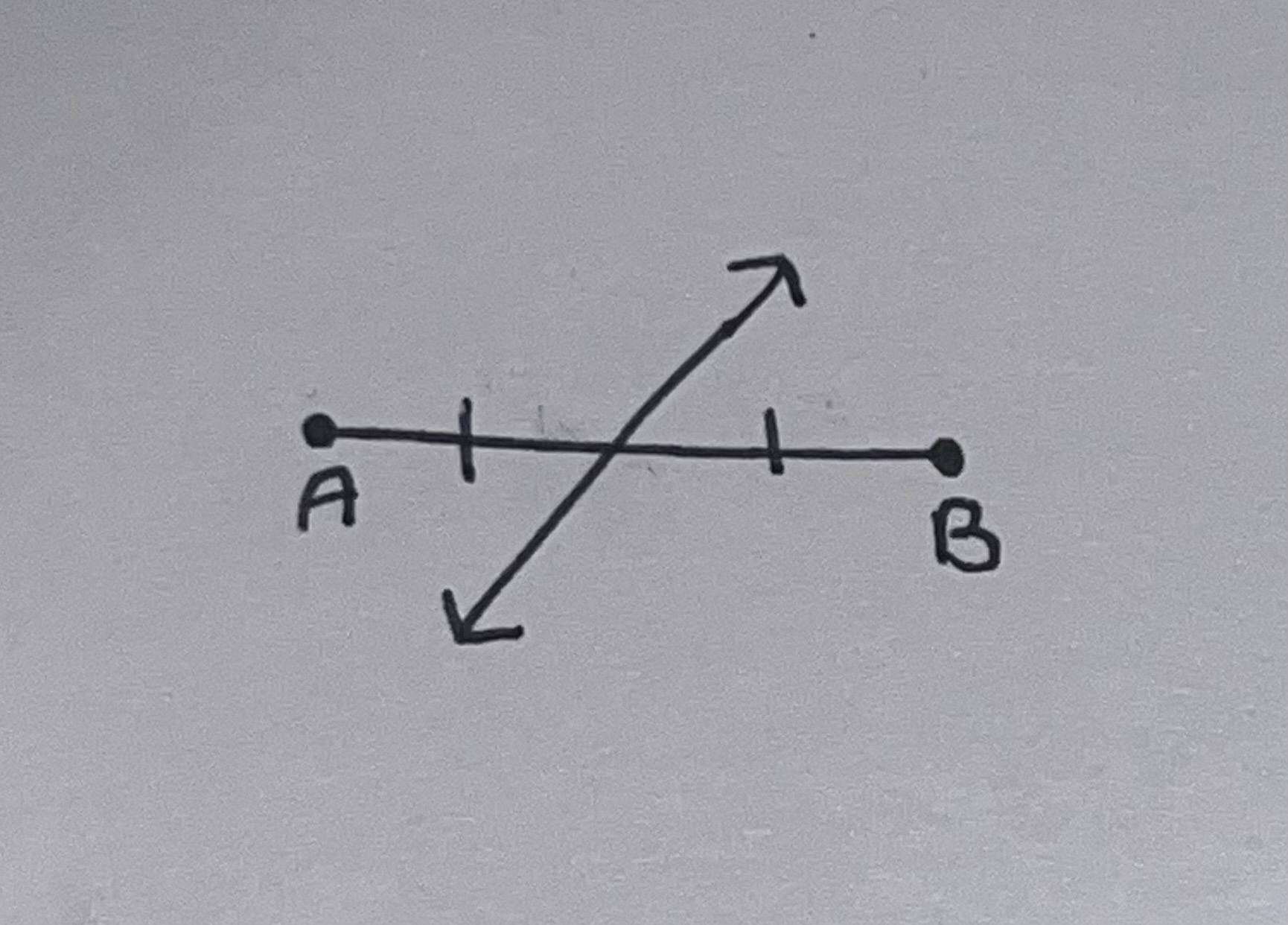 <p>a line that divides something into 2 equal parts</p>