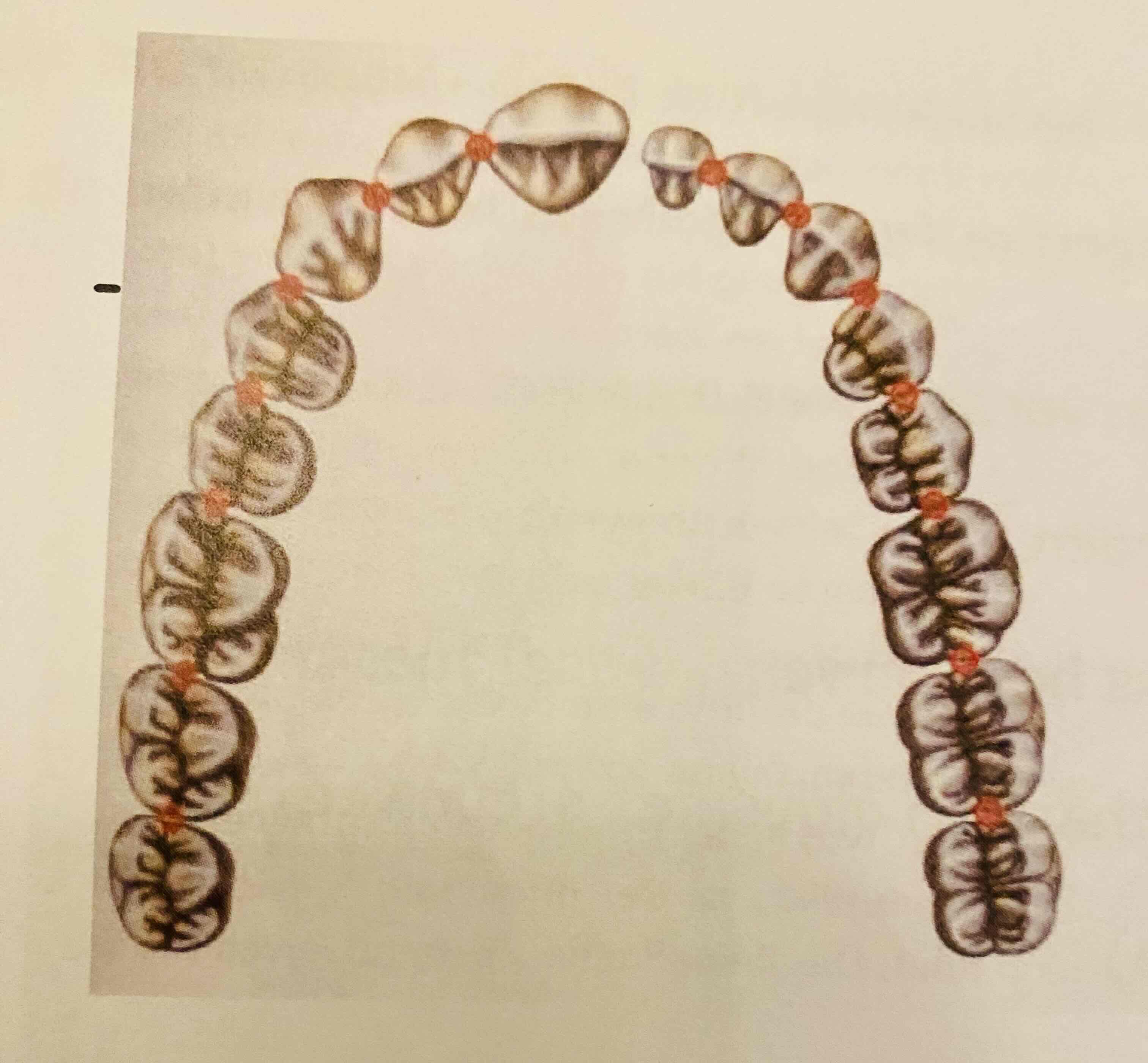 <p>Wat zijn contactpunten?</p>