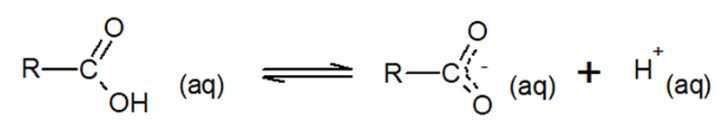 <ul><li><p>The hydrogen from the carboxyl group can be donated (Brønsted-Lowry acid). </p></li></ul><p></p><p></p><p></p><ul><li><p>This is because the negative charge which results from the loss of a hydrogen ion <mark data-color="yellow" style="background-color: yellow; color: inherit">can be shared over the carbon and oxygen of the carbonyl group.</mark> </p></li></ul><p></p><p></p><p></p><ul><li><p>This delocalisation of charge stabilises the carboxylate ion and the following equilibrium occurs.</p></li></ul><p></p>