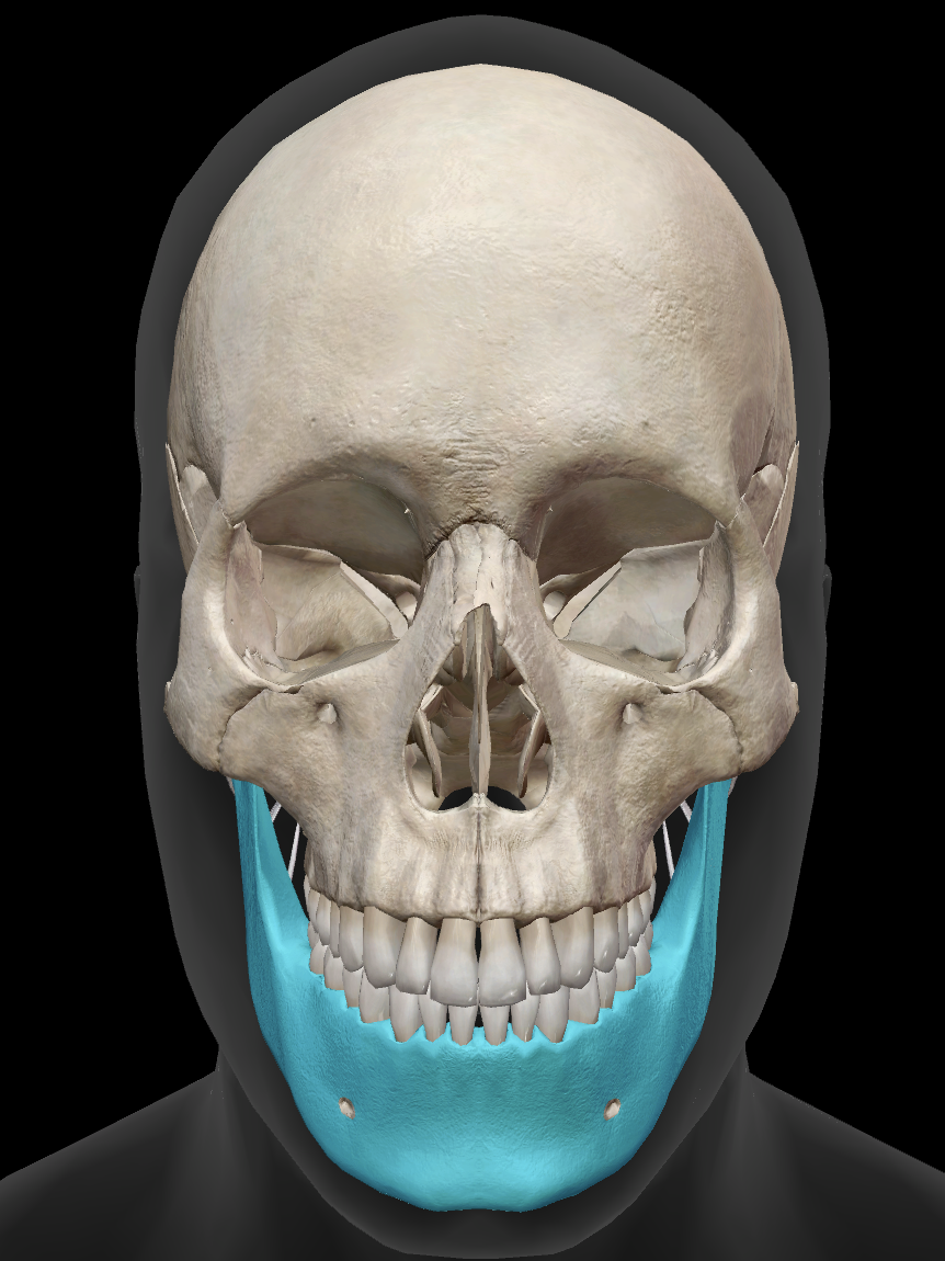 <p>What bone is this?</p>