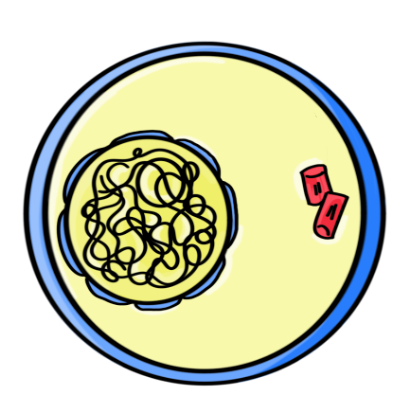 knowt flashcard image