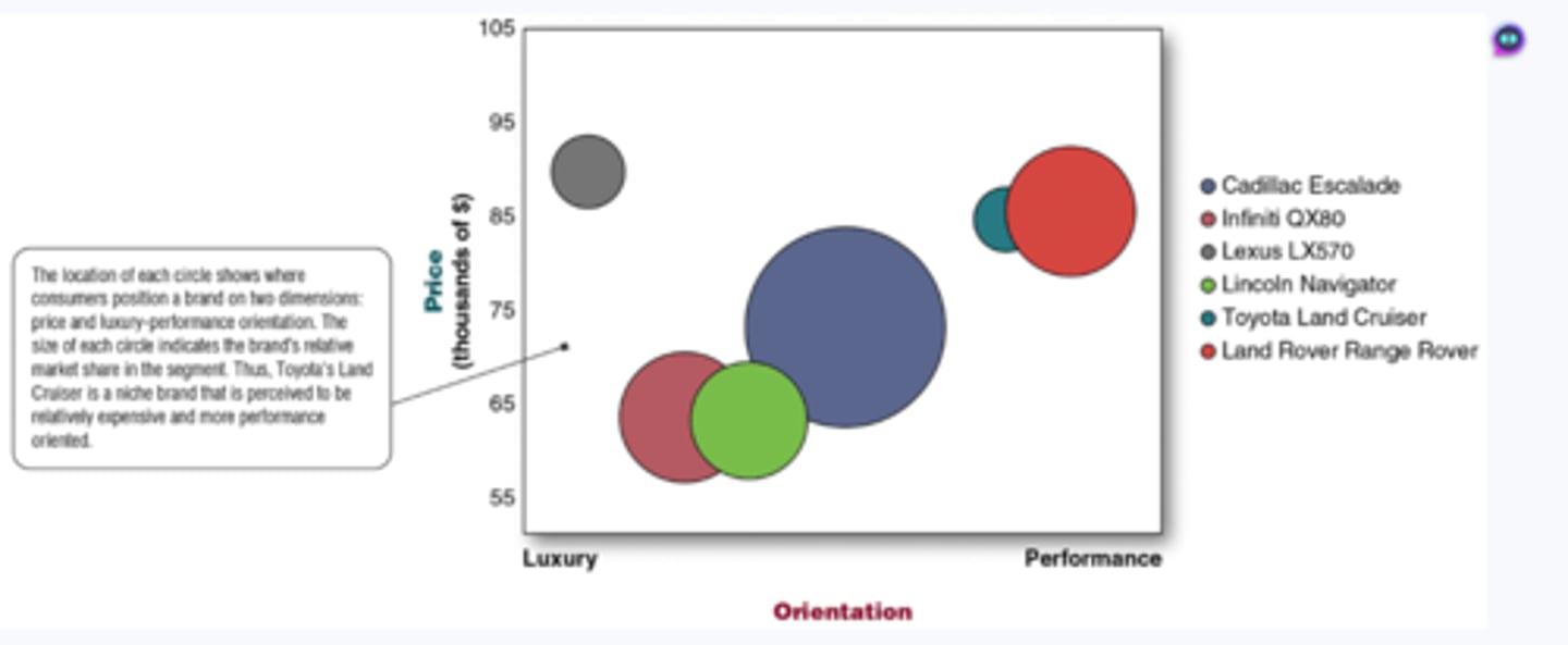 <p>A visual representation of how customers perceive different brands/products in a market.</p>