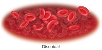<p>Discoidal</p>
