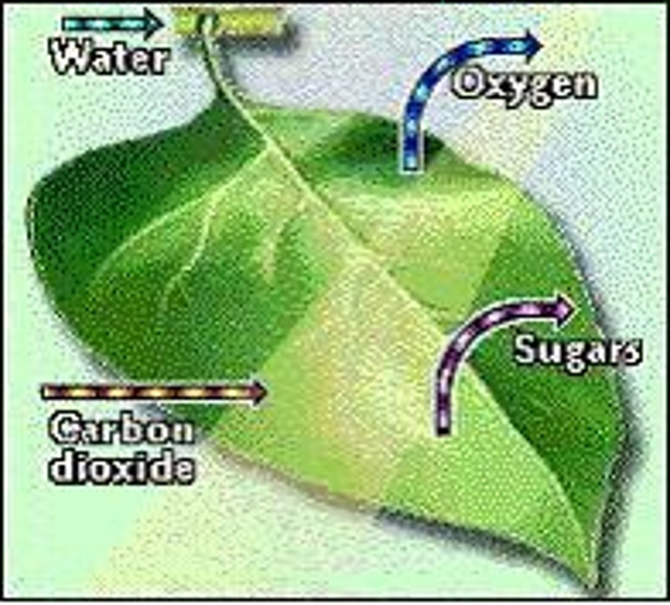 <p>Fundamental principles governing energy use and conservation.</p>
