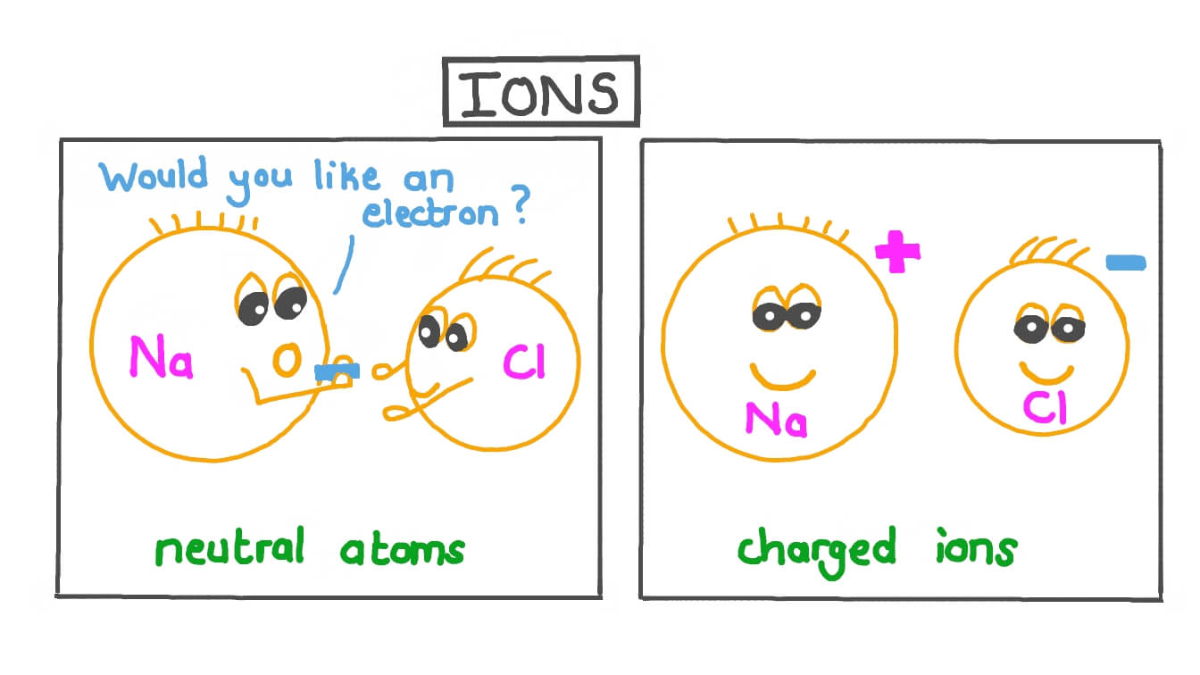 <p>An atom that has gained or lost electrons.</p>