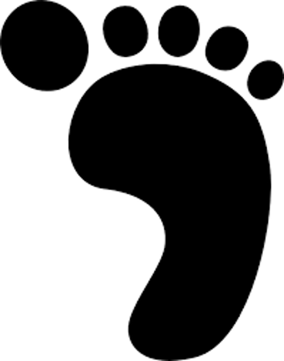 <p>"Foot"</p>