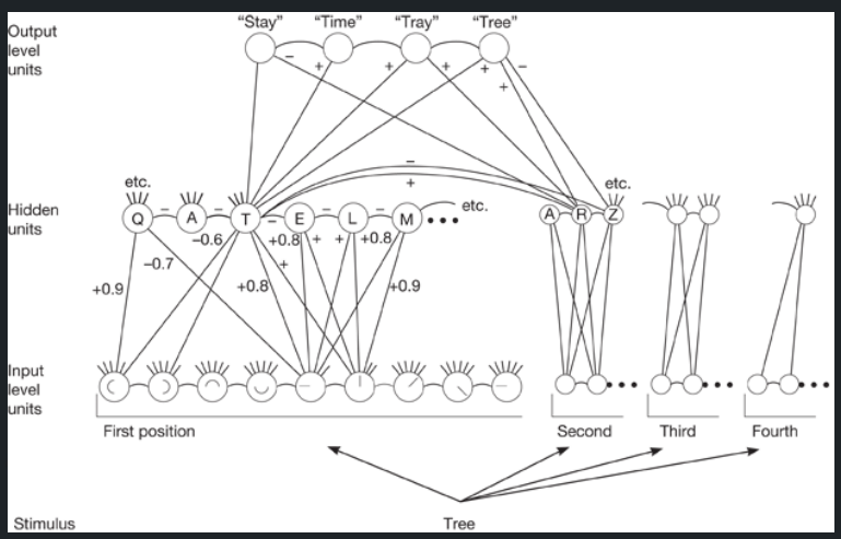 <p>Model for recognizing four-letter words.</p>