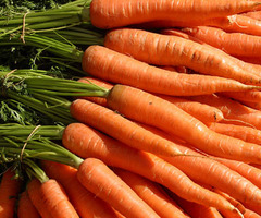 <p>carrots</p>