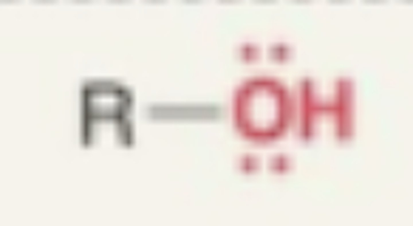 <p>- OH + carbon</p>