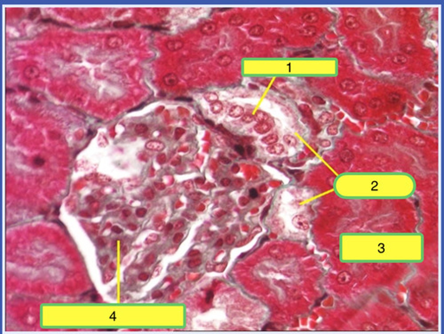 <p>2</p>