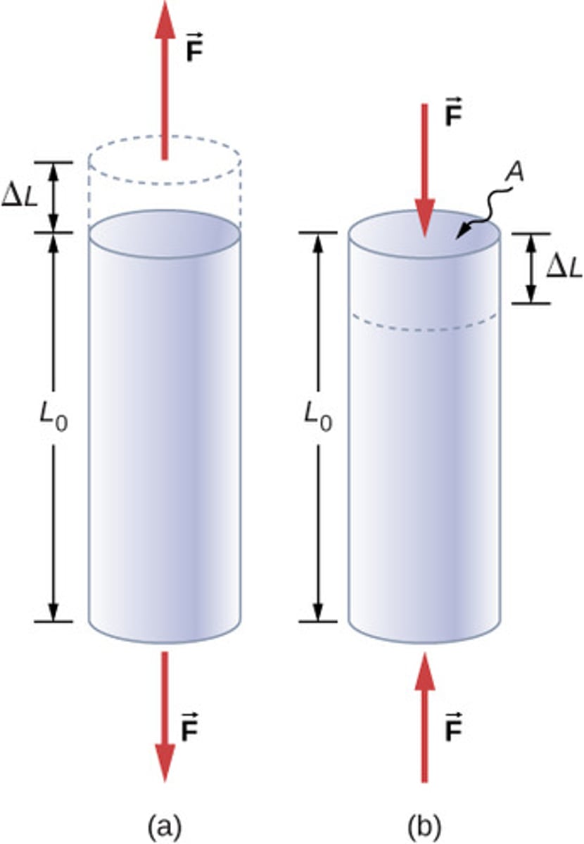 <p>Young's modulus (Y) is a measure of the stiffness of a material, defined as the ratio of tensile stress to tensile strain.</p>