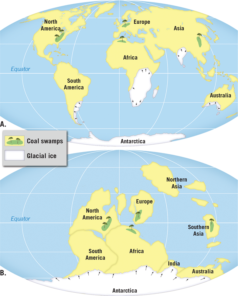 <ol><li><p>continental shelfs of South America and Africa fit together like jigsaw puzzle pieces</p></li><li><p>identical fossil organisms from Mesosaurus and Glossopteris found in South America and Africa</p></li><li><p>mountain belts of Appalachia are same in British Isles and Scandinavia; same igneous rock in South America and Africa</p></li><li><p>same glacial evidence in Africa, South America, Australia, and India; tropical swamps in North America, Europe, Southeast Asia</p></li></ol>