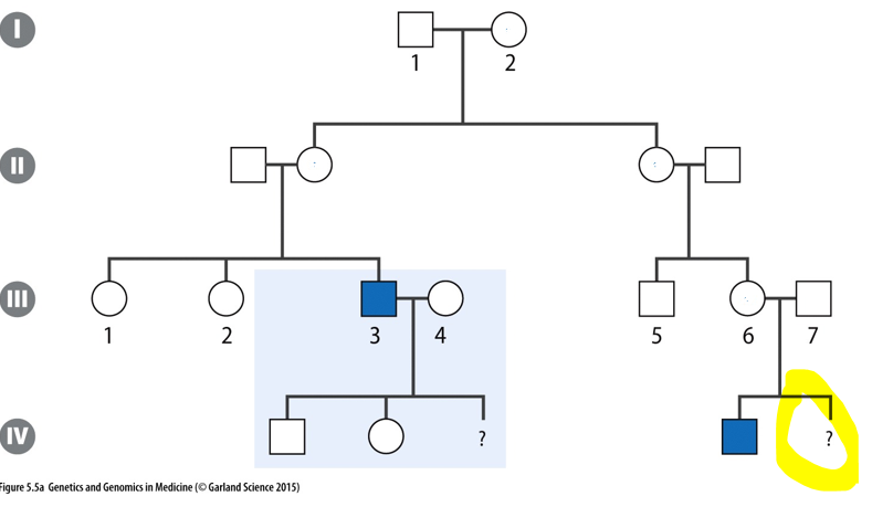 <p>Which inheritance pattern?</p><p>risk dor male child?</p><p>risk for female child?</p>