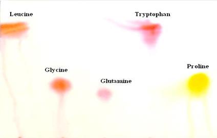 <p><span>What did you learn about the test above?</span></p>