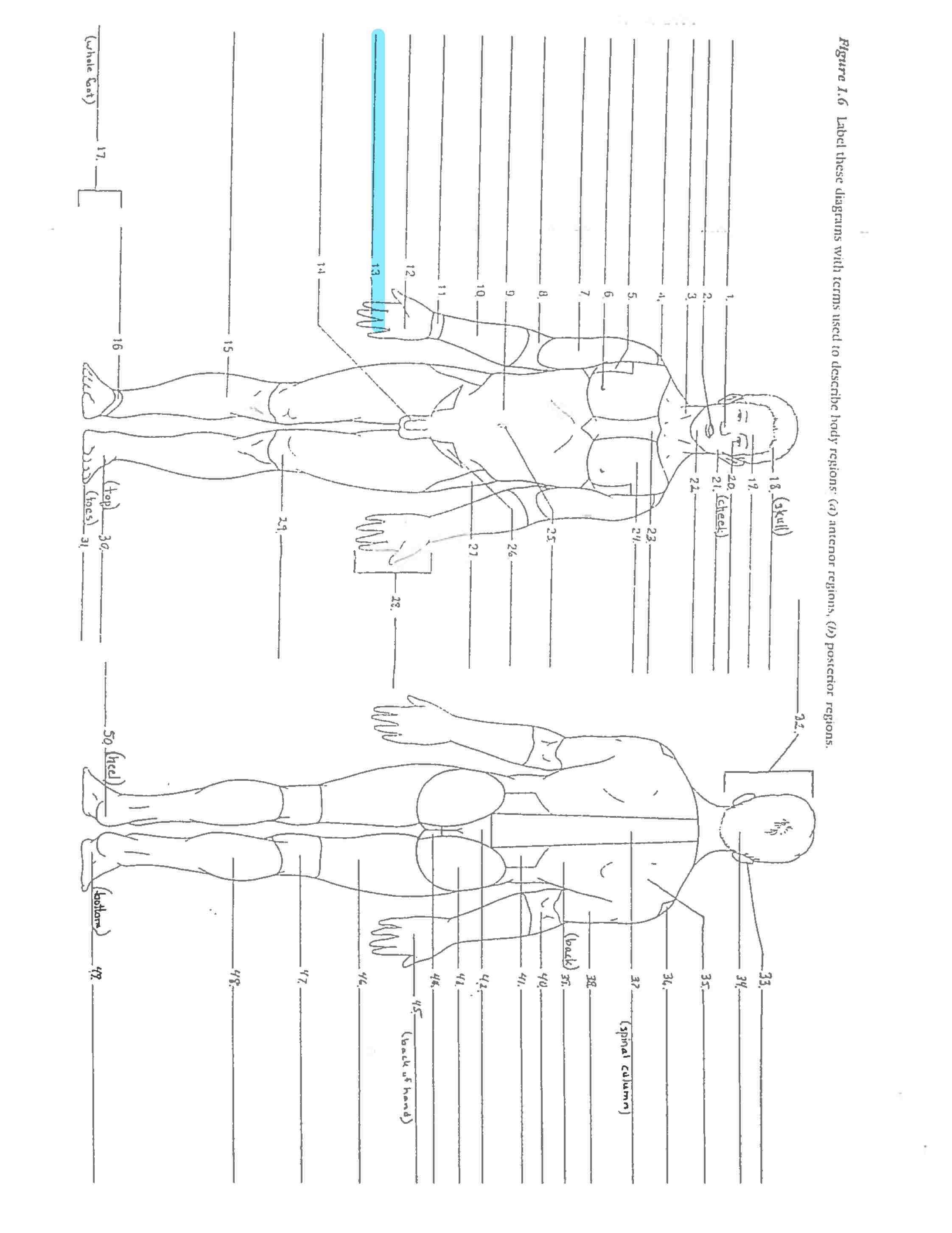 <p>Line 13 </p>