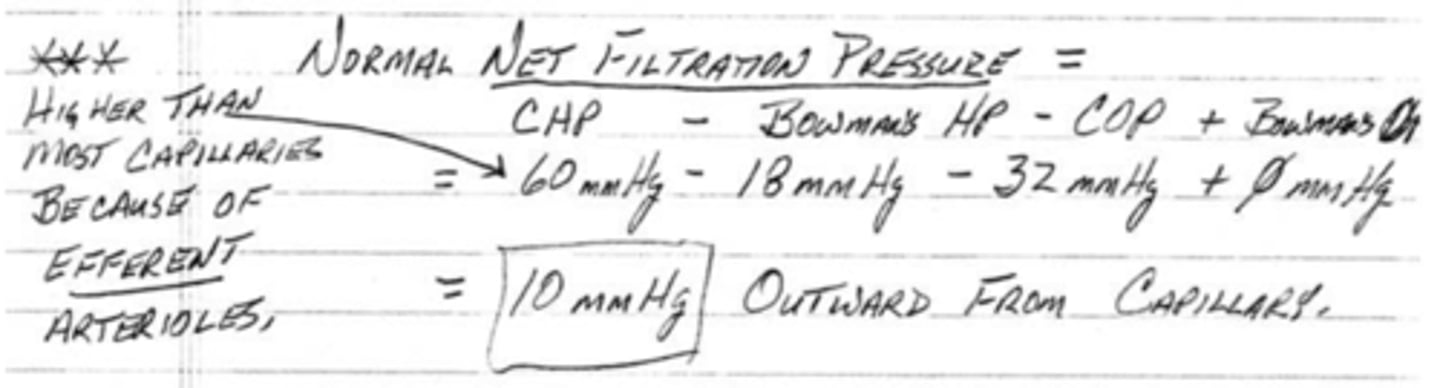 <p>10 mmHg</p>
