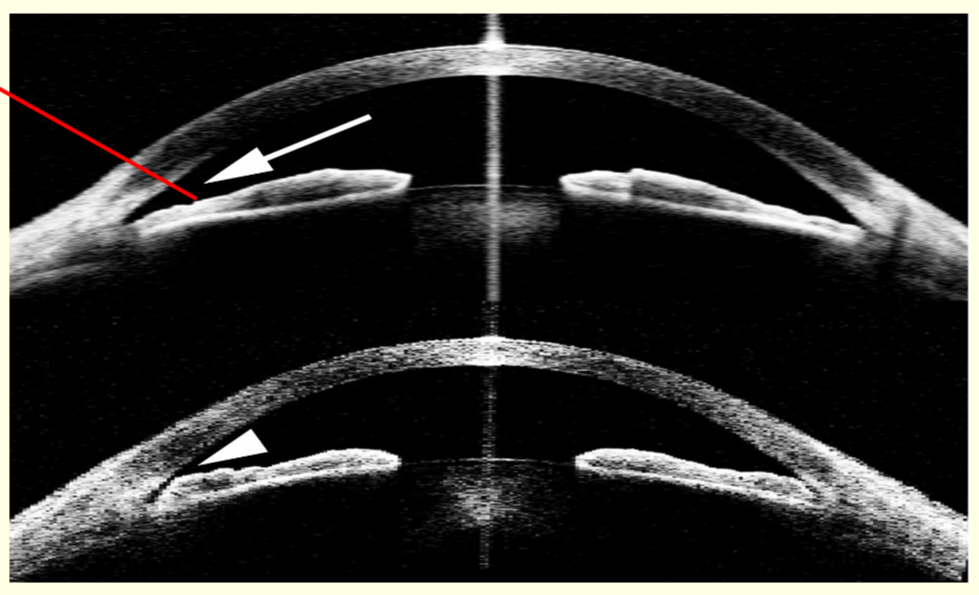 <p>What is this?</p>