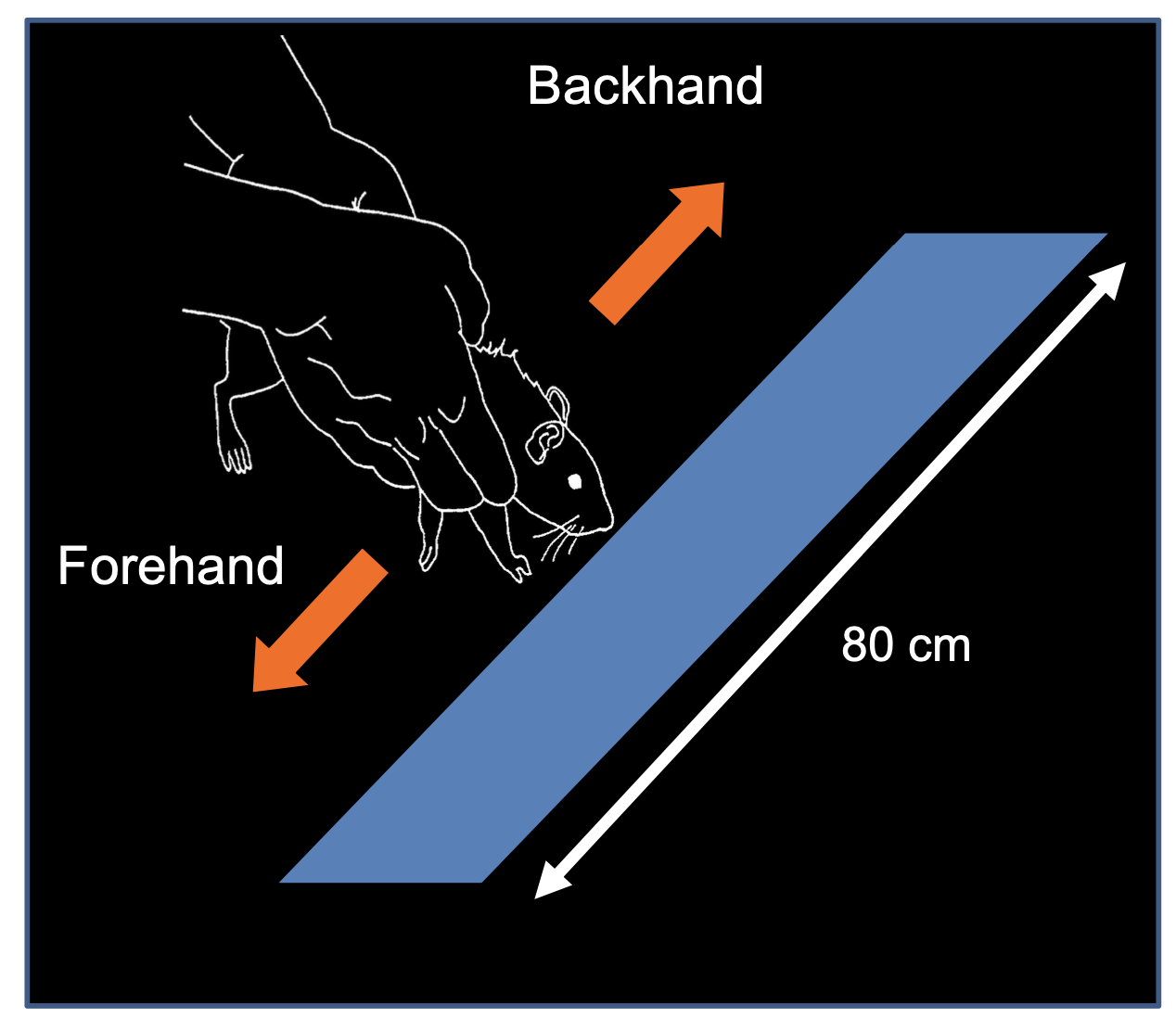 <p>Hold the animal and slide it against a surface, then check the use of its paw to see if it steps.</p>